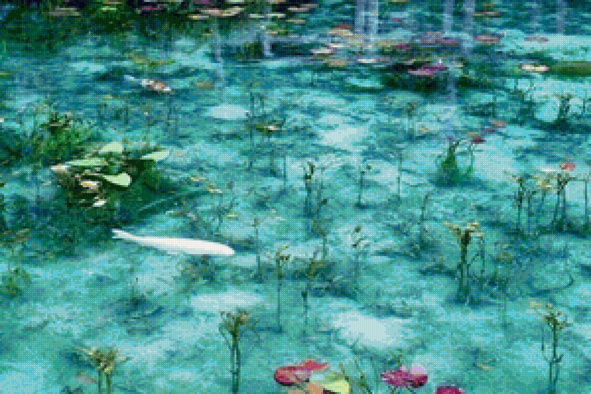 Карпы - предпросмотр