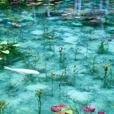 Схема вышивки «Карпы»