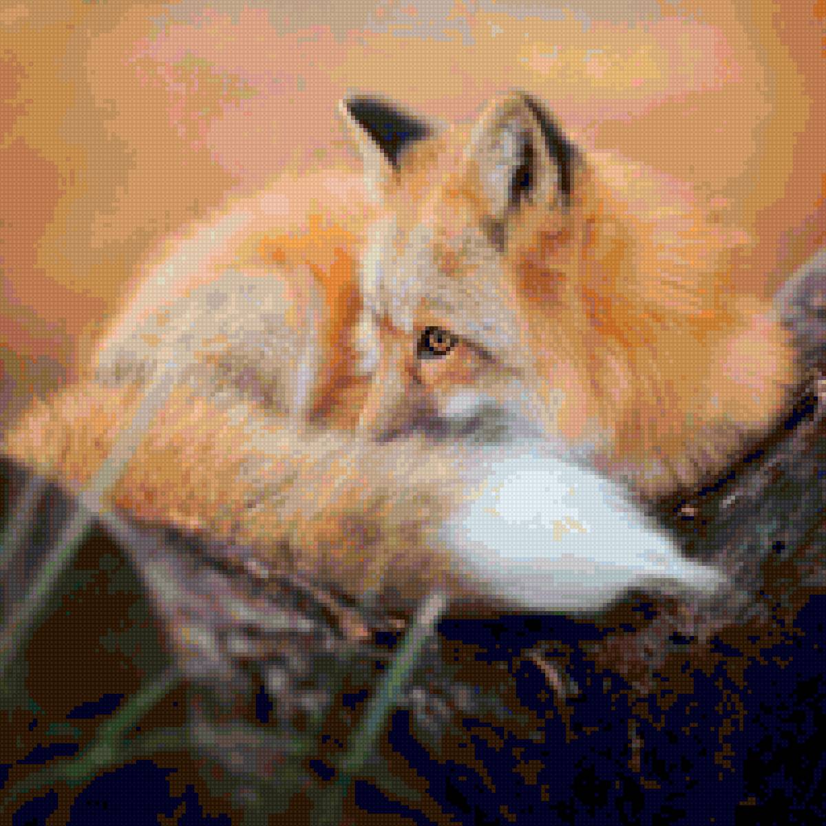 Лисичка - предпросмотр