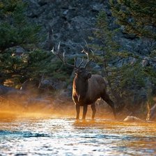 Схема вышивки «№1965066»