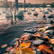 Схема вышивки «Прага»