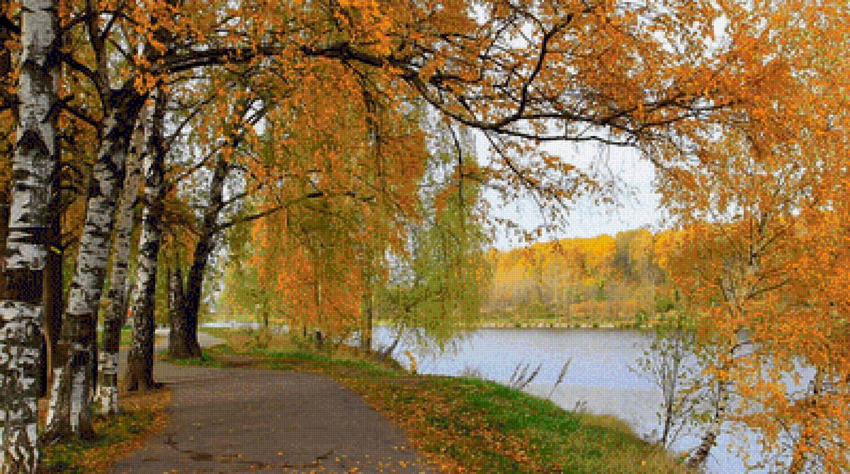 осенний пейзаж - пейзаж, природа, осень, дорожка, березы, река - предпросмотр