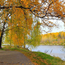 Схема вышивки «осенний пейзаж»