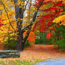 Схема вышивки «осень»