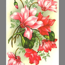 Схема вышивки «Серия "Винтаж". Цикламен»