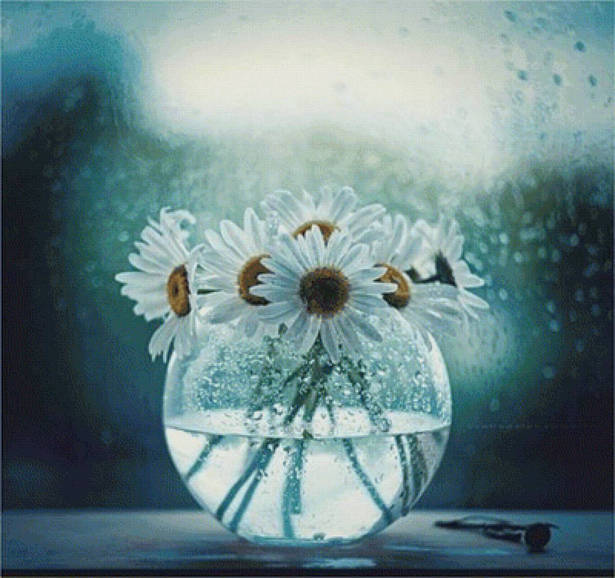 ромашки - предпросмотр