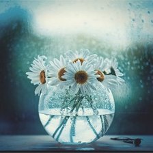 Схема вышивки «ромашки»