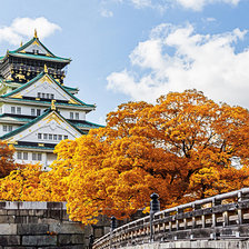 Схема вышивки «Осака»