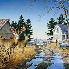 Схема вышивки «Лесные гости»