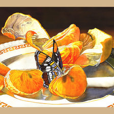 Схема вышивки «Мандарин и бабочка.»