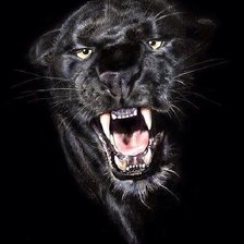 Схема вышивки «кошка»