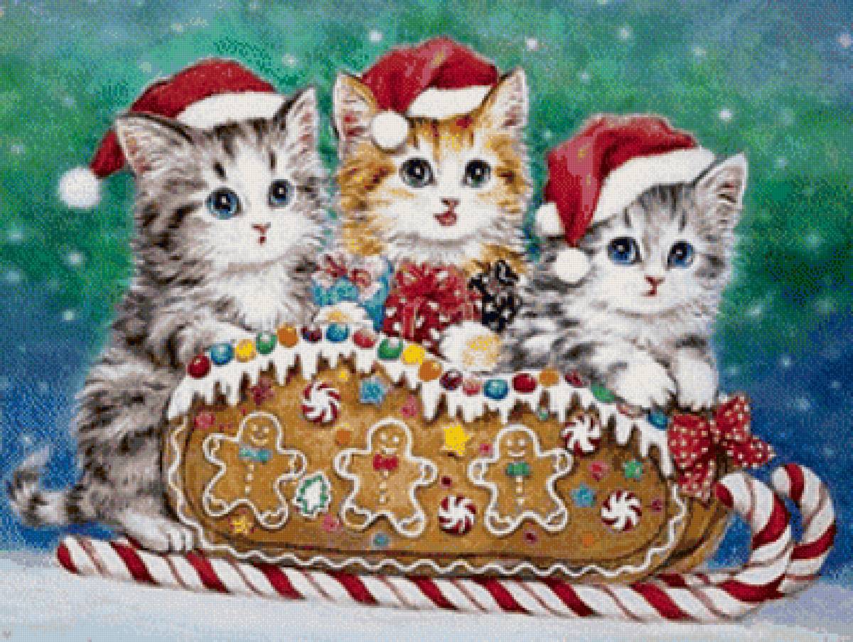 557 - предпросмотр