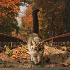 Схема вышивки «№1966312»