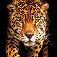 Схема вышивки «011»