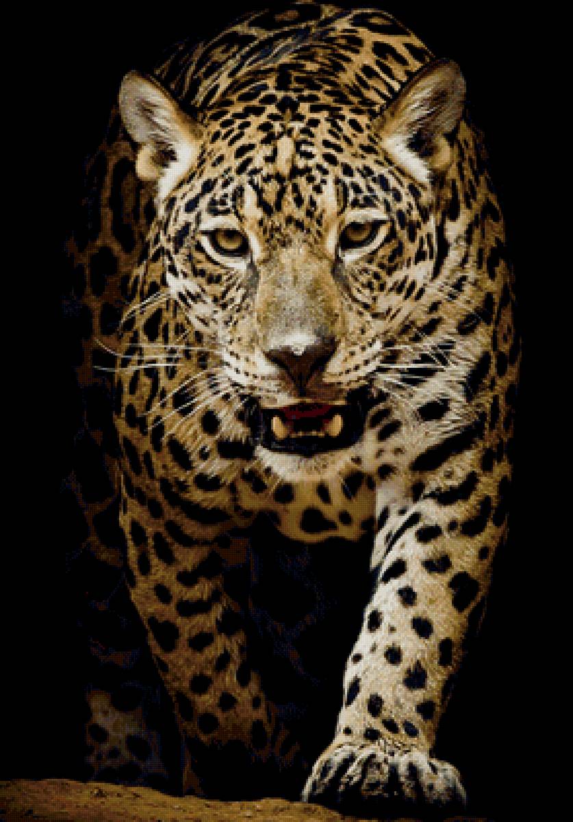 012 - предпросмотр