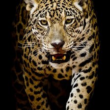 Схема вышивки «012»