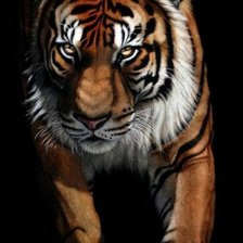 Схема вышивки «014»