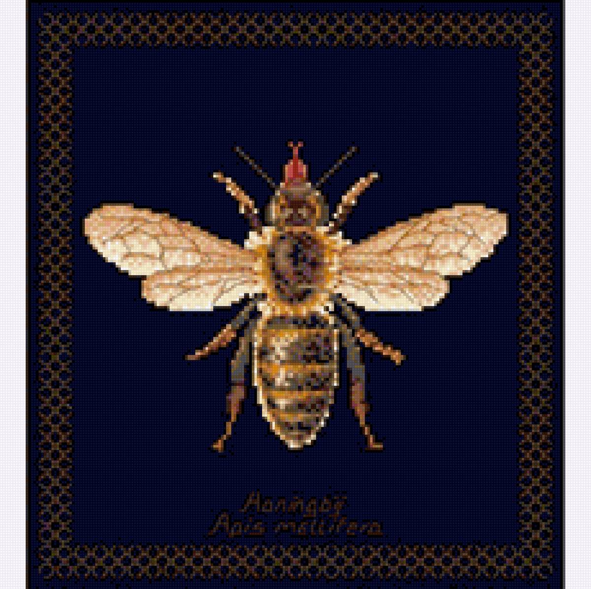 пчела - насекомые - предпросмотр