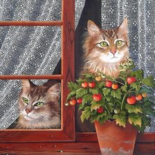 Схема вышивки «котики»