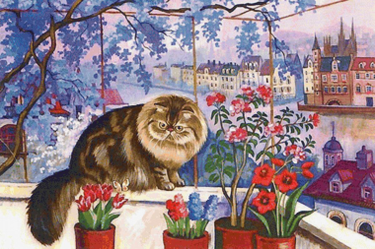 кот - коты - предпросмотр