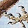 Предпросмотр схемы вышивки «мир животных» (№1966663)