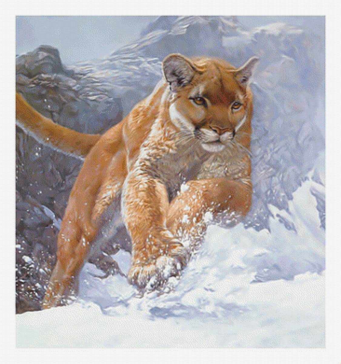 Прыжок пумы. - животные, снег, пума, прыжок, хищник, зима - предпросмотр