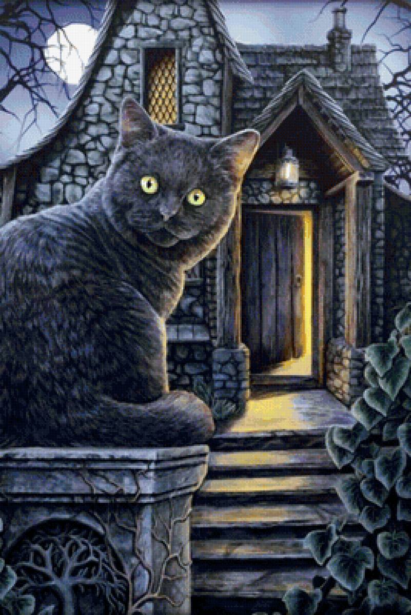 №1967459 - животные, черный кот, ночь, дом - предпросмотр