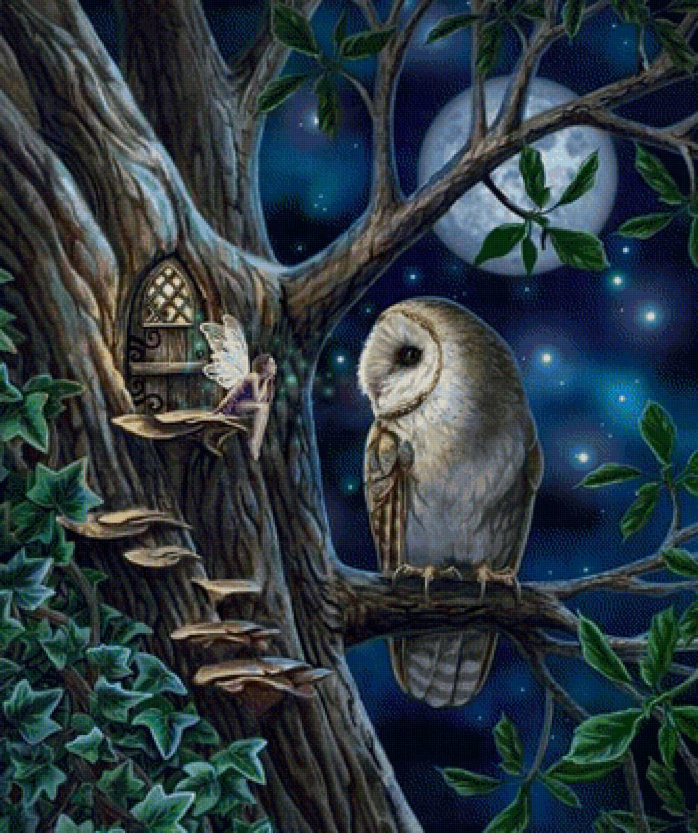 №1967460 - сова, фея, ночь, луна - предпросмотр