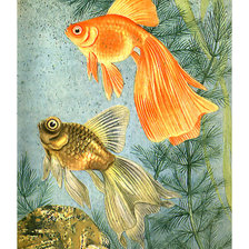 Схема вышивки «Серия "Водный мир"»