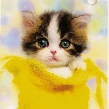 Схема вышивки «кошка»