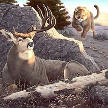 Схема вышивки «puma»