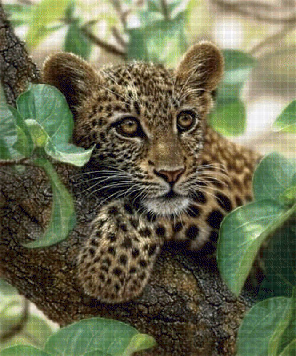 TREE HUGGER - LEOPARD CUB - by collin bogle, , дикие животные - предпросмотр