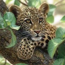 Схема вышивки «TREE HUGGER - LEOPARD CUB»
