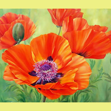 Схема вышивки «Красные маки.»