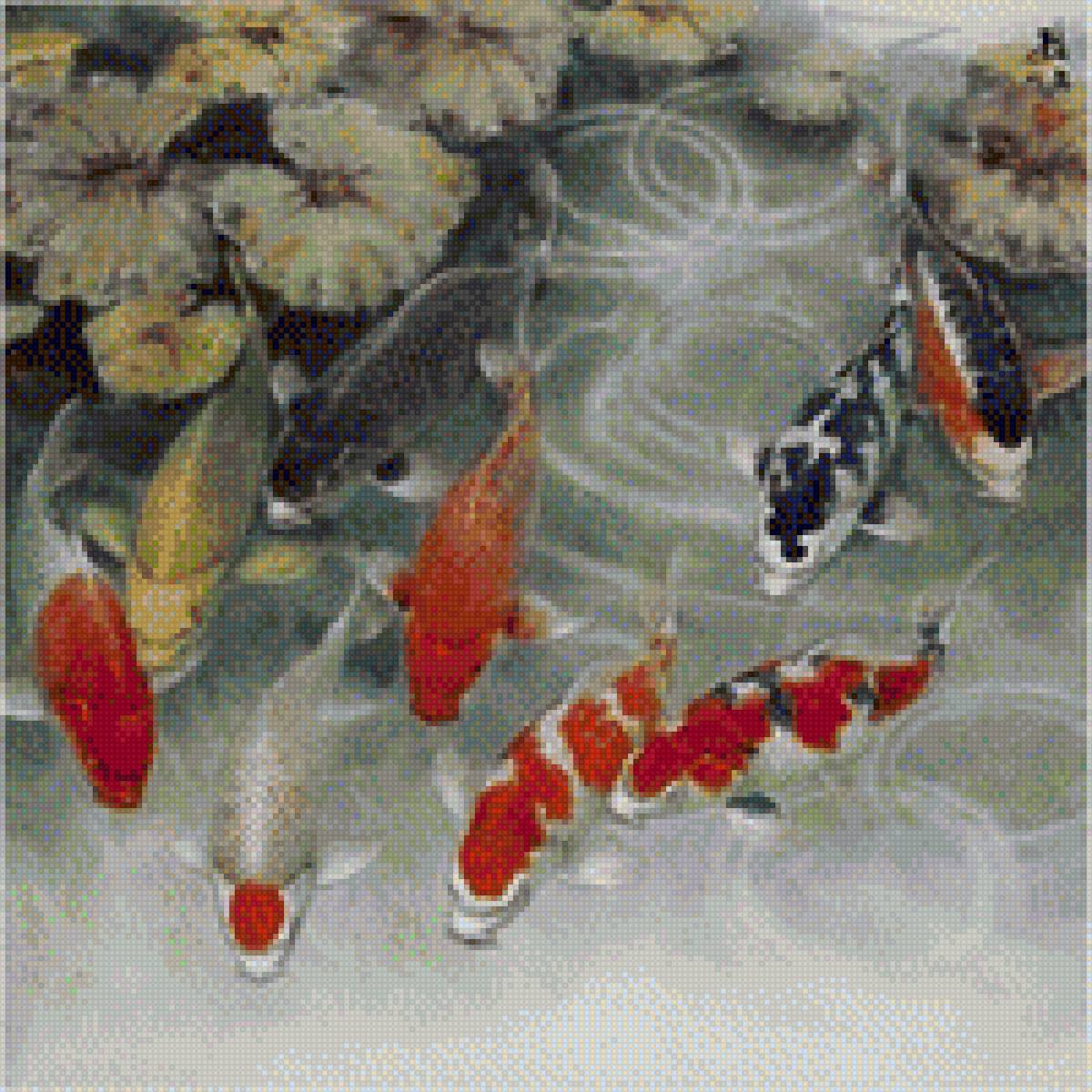 карпы кои - карпы - предпросмотр