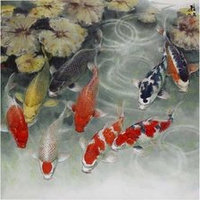 Схема вышивки «карпы кои»