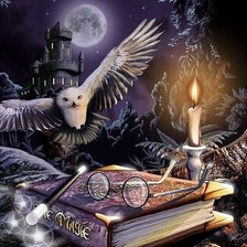 Схема вышивки «магия»