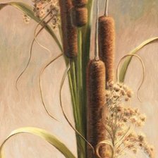 Схема вышивки «Velvety Cattails»