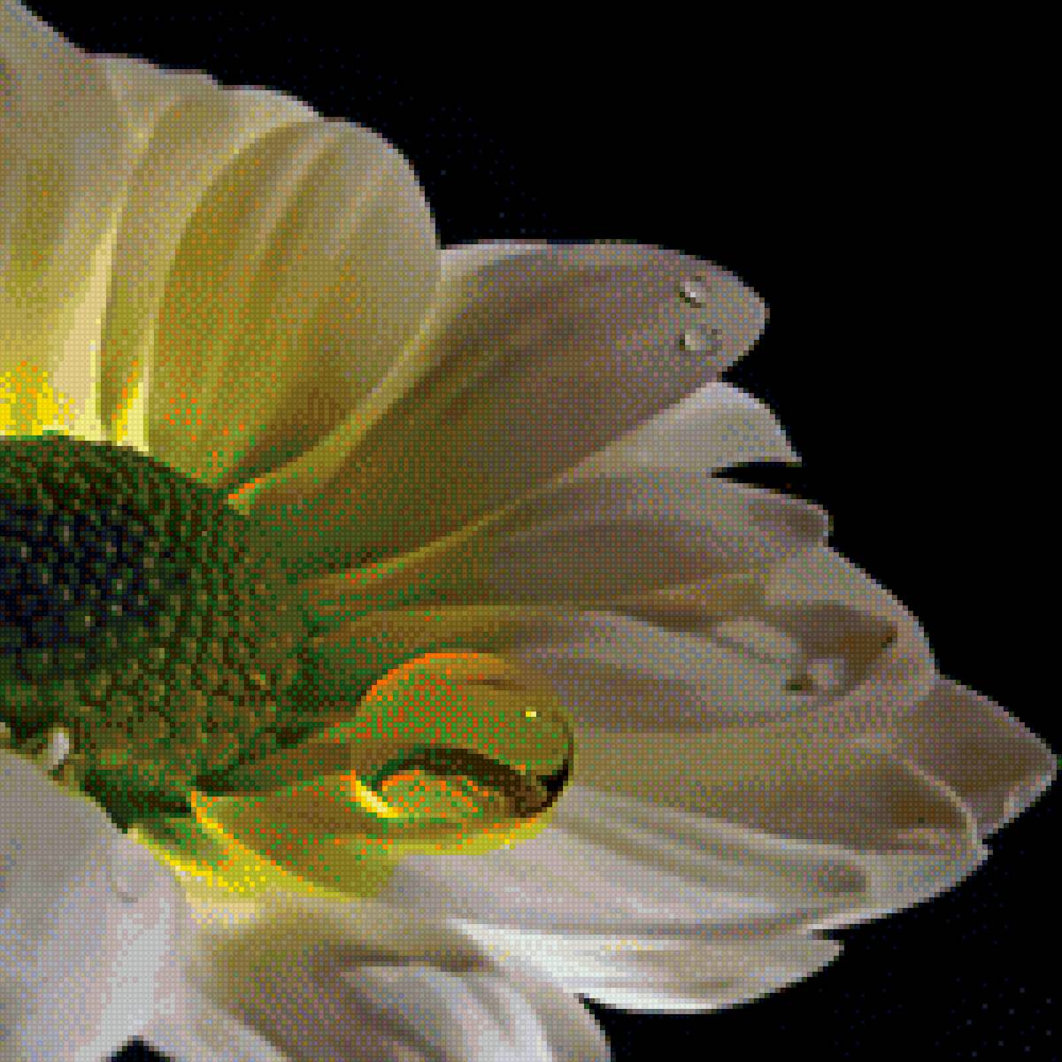 №1968927 - цветок, капля - предпросмотр