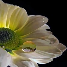 Схема вышивки «№1968927»