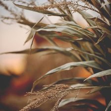 Схема вышивки «№1968938»