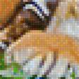 Предпросмотр схемы вышивки «Tiger Cubs.» (№1968984)