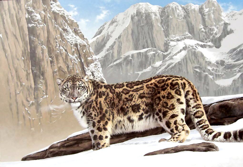 №1968987 - хищники, животные - оригинал