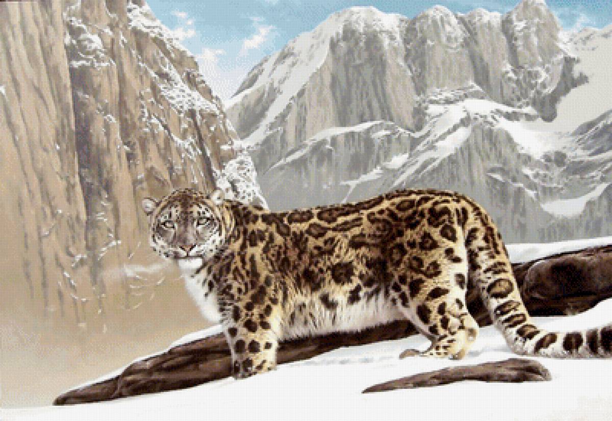 №1968987 - хищники, животные - предпросмотр