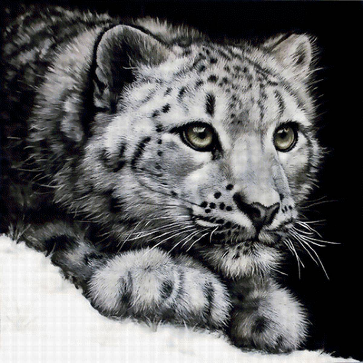 №1968992 - животные, хищники - предпросмотр