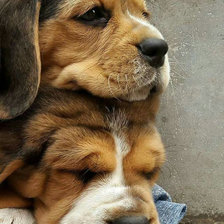 Схема вышивки «№1969002»