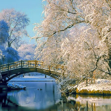 Схема вышивки «Velvet Winter.»