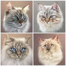 Схема вышивки «кошки»