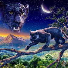 Схема вышивки «кошки»