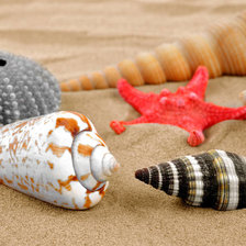 Схема вышивки «ракушки»